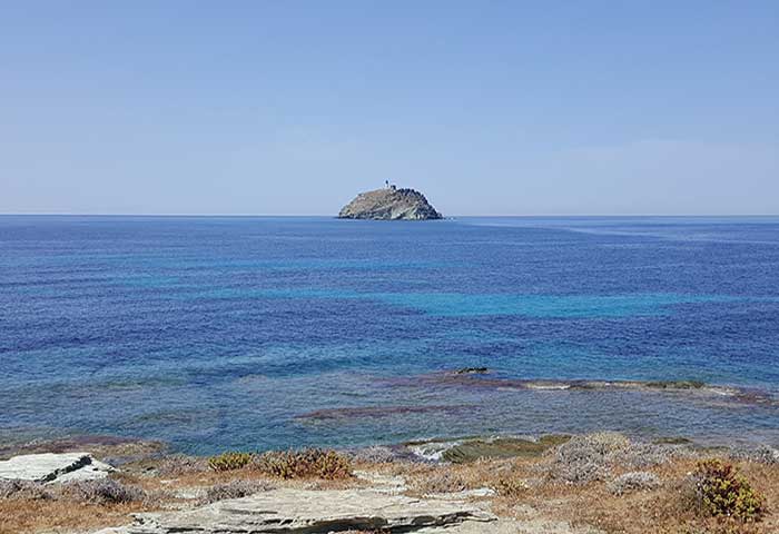 Ortopedico Chirurgo della  mano Rizoartrosi Morbo  di  Dupuytren,  Dupuytren Dito  a   scatto Sindromi canalicolari, nervi  periferici Kalamazoo Consensus Statement Coach, coaching Pisa Livorno Pontedera Capannoli, Ponte a Egola, Volterra 